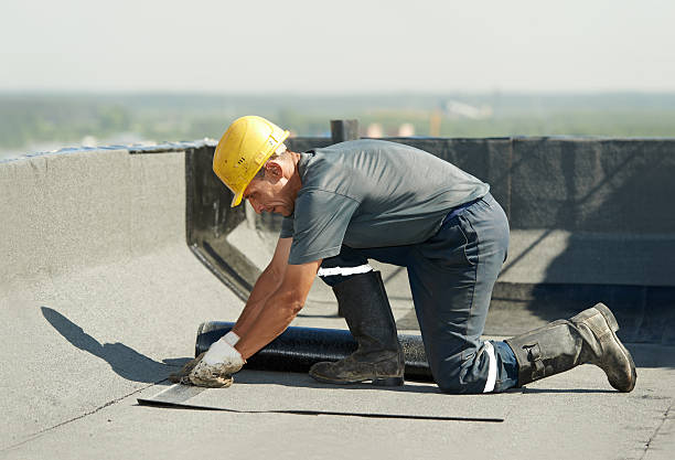 Best Insulation Materials and Products in Paradise, CA
