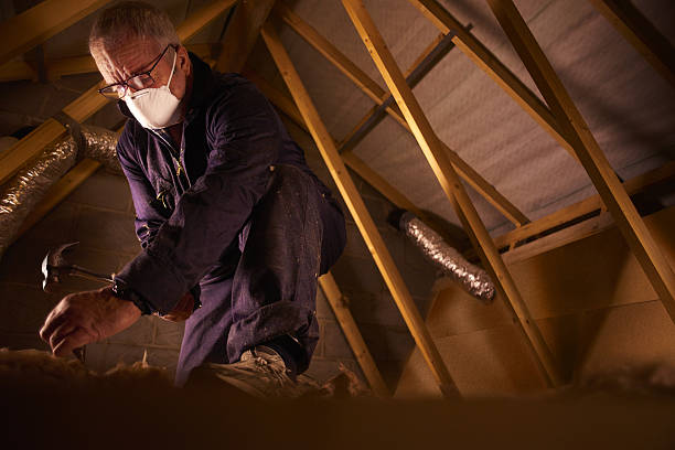 Best Insulation Maintenance and Repair in Paradise, CA